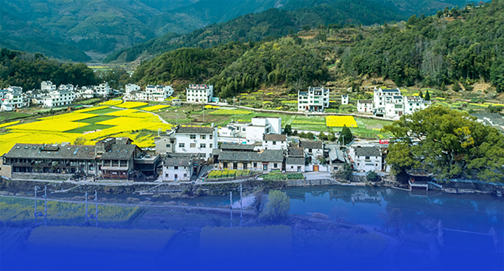 模块图片