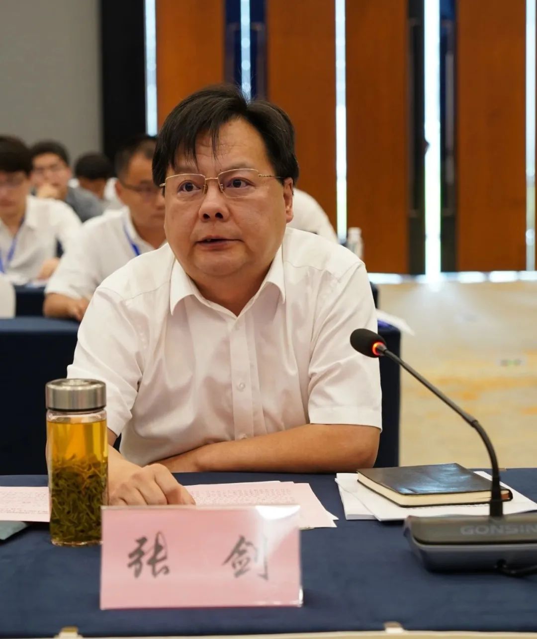 安庆经济技术开发区党工委书记兼管委会主任张剑在大有时空发言